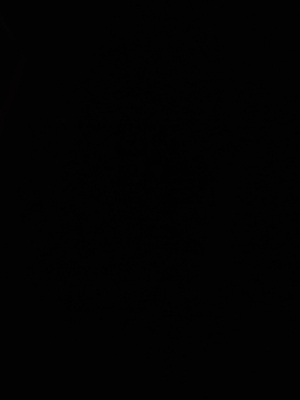 Fresh Engine Oil Bottles - Color: Multicolor