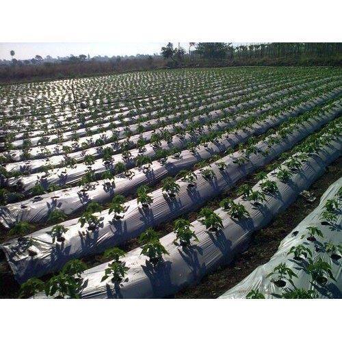 Mulching Paper