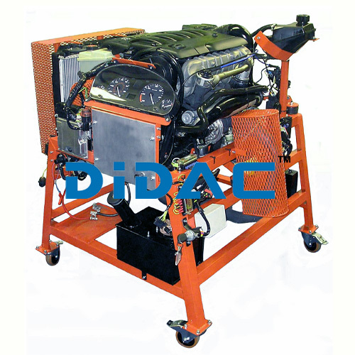 Peugeot and Citroen HDI Bosch Common Rail Diesel Injection