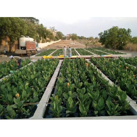 Sewage Treatment Plant