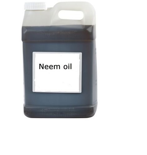 Neem Oil Grade: Medicine Grade