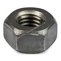 Heavy Hex Nut - Color: Silver
