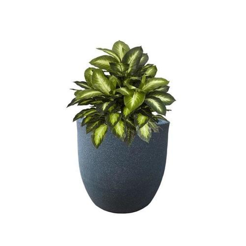 Fox Round Pot - Plastic Material , Grey and Green Color | Elegant Design for Balcony, Front Door, and Living Areas, Easy Maintenance and Handling