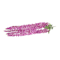 Artificial Flower for Wall - Plastic Meaty Plant | Easy to Clean, Eco-Friendly, Ideal for Home, Wedding, Party, or Ceremony Decoration