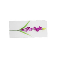 Artificial Flower - Plastic Grass, Decorative Flower for Wedding Decoration, Eco-Friendly, Easy to Clean, Arts and Crafts, Home and Party Decor