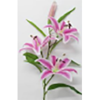 Artificial Lily Flower - Plastic Material, Decorative Flower | Meaty Plant Ideal for Arts and Crafts, Ceremony or Party Decoration, Gift, Home & Wedding Decor