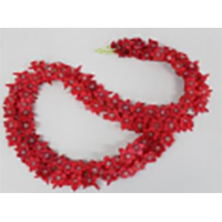 Artificial Flower - Plastic Meaty Plant | Eco-Friendly, Easy to Clean, Ideal for Ceremony or Party Decoration, Arts and Crafts, Home and Wedding Decoration, Gifts