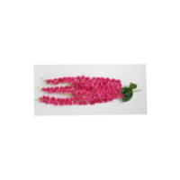 Artificial Flower - Eco-Friendly Plastic Meaty Plant | Decorative for Arts and Crafts, Party Ceremonies, Home and Wedding Decorations