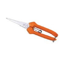 GARDEN TOOLS & HAND TOOLS