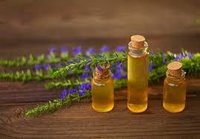 Hyssop Oil Purity: 100%