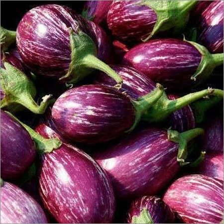 Brinjal