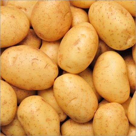 Potato