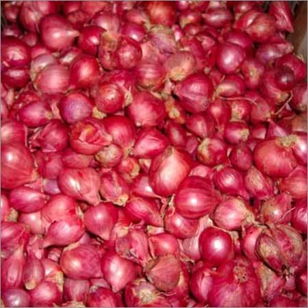 Fresh Onion