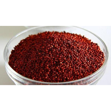 Finger Millet