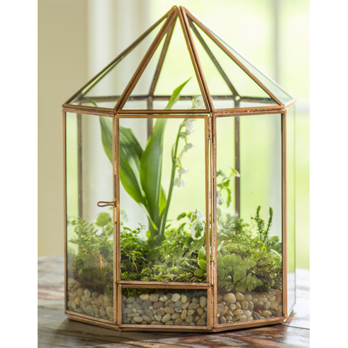 Decorative Plant Terrarium - Iron & Glass, 6x6x10 Inch | Durable, Easy to Clean, Multiple Colors, Handmade Design