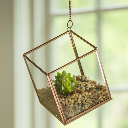 Plant Terrarium Item