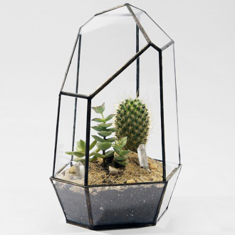 Glass Plant Terrarium - Metal Plated Design, 10" Height x 5" Length x 5" Width, Black Finish, Decorative Artificial Style