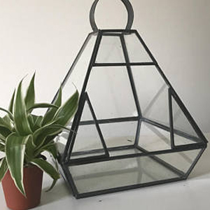 Multiple Stylish Plant Terrarium