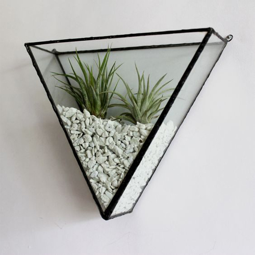Black Garden Plant Terrarium