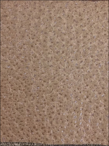 Chair Fabric