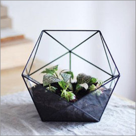 Black Metal Terrarium - 6x6x6 Inches | Plated Finish, Artificial Style, Decorative Theme