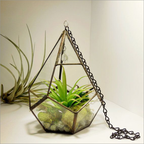 Geomatric Terrarium