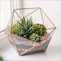 Copper Glass Terrarium Succulents Window Sill
