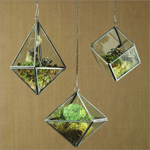 Hanging Decor Terranium