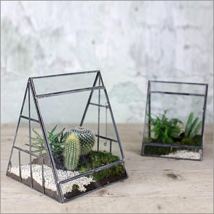 Hut Terrariums