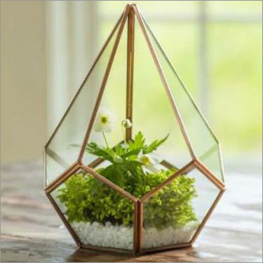 Indoor Terrariums