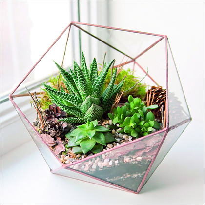 Copper Rose Gold Terrariums
