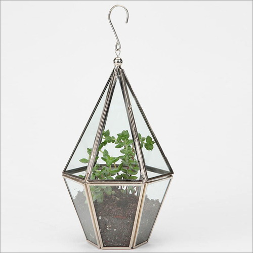 Silver Terrariums