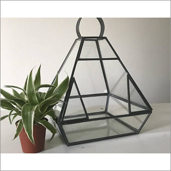 Black Terrariums Lanterns