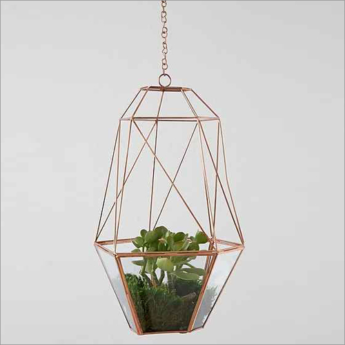 Multiple Wire Glass Terrariums