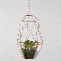 Multiple Wire Glass Terrariums