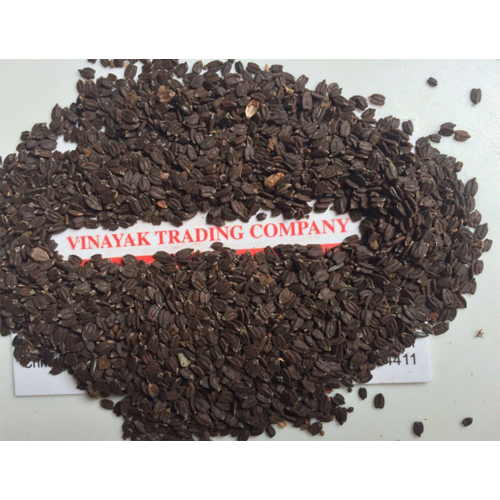 Basil Seeds In Raipur Chhattisgarh At Best Price Basil Seeds