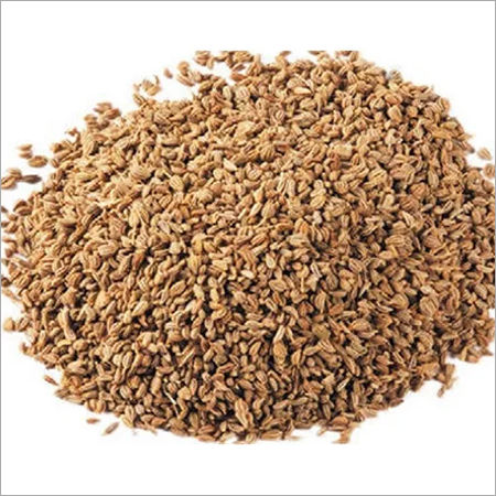 Celery Seed