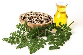 Moringa Oil Gender: Female