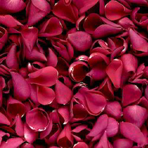 Rose Petals