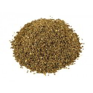 Apium Graveolens Extract By GREEN EARTH PRODUCTS PVT LTD.