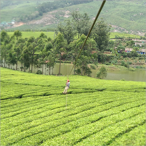 Zipline Zipline