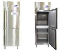 Two Door Vertical Freezer (rf2d640a) (600 Ltrs.) Power Source: Electrical