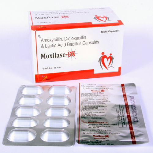 Amoxycillin 250Mg + Dicloxacillin 250Mg + Lactic Acid Capsule General Medicines
