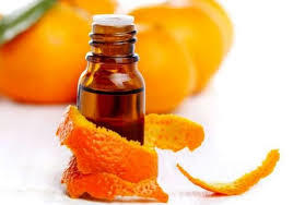 Orange Oil Gender: Female