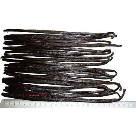 Vanilla Beans