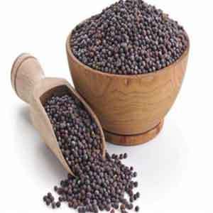 Black Mustard Seed