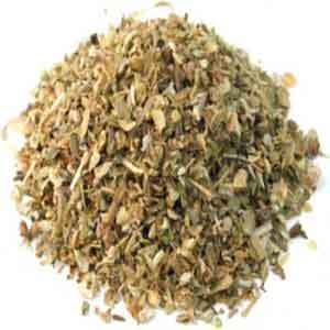Green Oregano