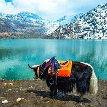 Sikkim Tour