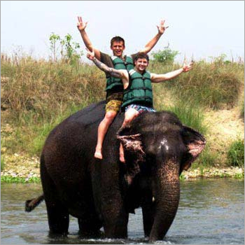 Chitwan Tour