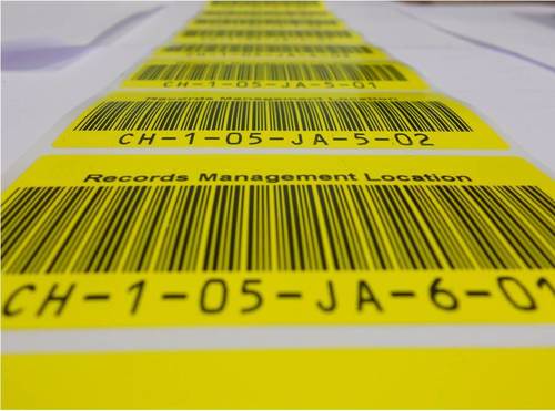 Yellow Sequential Label
